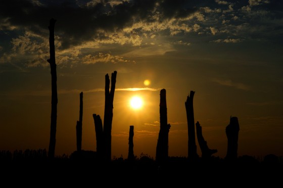 _DSC5207_900 Woodhenge
