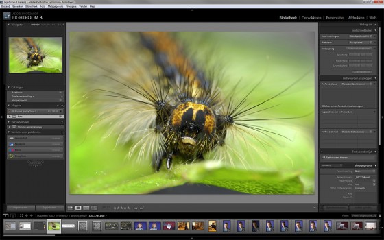 lightroom3 Adobe Photoshop Lightroom 3