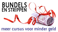 Bundels & Strippen-picture